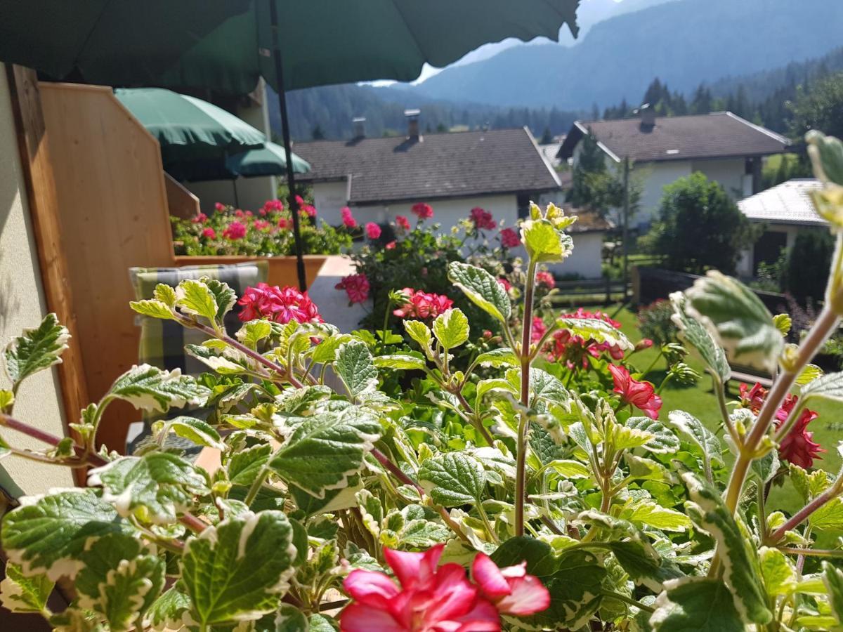 Gaestehaus Schoeneweiss Ehrwald Esterno foto